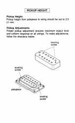 Preview for 13 page of Yamaha Weddington SeriesWeddington Custom Owner'S Manual