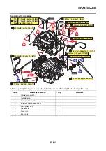 Предварительный просмотр 248 страницы Yamaha XTZ690 2020 Service Manual