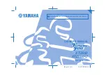 Yamaha XTZ690 Owner'S Manual preview