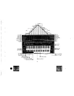 Предварительный просмотр 6 страницы Yamaha YC-45 D Owner'S Manual