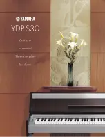 Yamaha YDP-S30 Specifications предпросмотр