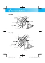 Предварительный просмотр 4 страницы Yamaha YOB-241 Owner'S Manual