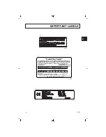 Предварительный просмотр 9 страницы Yamaha YTF1 Owner'S/Operator'S Manual