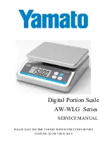 Yamato AW-WLG Series Service Manual preview