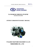 YANGDONG YD380D Operation & Maintenance Manual preview