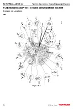 Предварительный просмотр 233 страницы Yanmar 4BY Service Manual