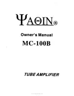 YAQIN MC-100B Owner'S Manual preview