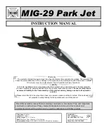 Yard Bird MIG-29 Park Jet Instruction Manual предпросмотр