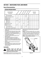 Preview for 13 page of Yard-Man 12A-999R402 Operator'S Manual