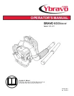 Ybravo BRAVO 65-101 Operator'S Manual preview