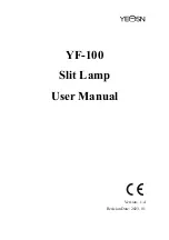 Предварительный просмотр 1 страницы Yeasn YF-100 User Manual