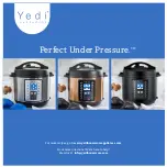 YEDI Perfect Under Pressure GV001 Manual preview