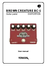 Yerasov Brown Creature BC-1 Manual предпросмотр