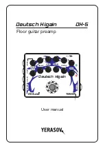 Yerasov Deutsch Higain DH-5 User Manual preview