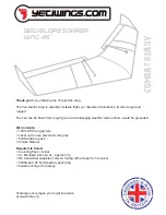 Yeti ELECTRIC WING 46" Manual предпросмотр