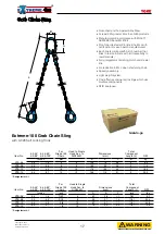 Предварительный просмотр 17 страницы Yoke Extreme-100 X-A05-06 Manual