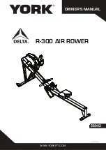 York Fitness Delta R-300 AIR ROWER Owner'S Manual preview