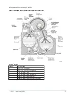 Предварительный просмотр 13 страницы York 160.87-OM1 Operation And Maintenance Manual