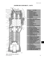 Предварительный просмотр 91 страницы York MILLENIUM YCAS Series Installation Operation & Maintenance