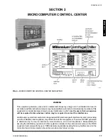 Предварительный просмотр 17 страницы York MILLENNIUM YB Series Operating & Maintenance