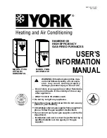 York P3DN User'S Information Manual preview