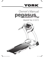 York Pegasus Plus 51072 Instruction Manual preview