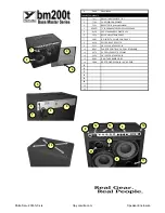 YORKVILLE Bass Master BM200T Manual предпросмотр