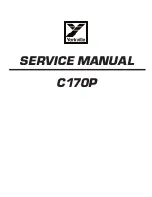 YORKVILLE C170P Service Schematics preview