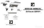 YORKVILLE Coliseum C2891 Service Manual preview