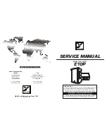 YORKVILLE ELITE E10P Service Manual предпросмотр