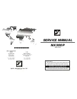 Preview for 1 page of YORKVILLE NX300P Service Manual