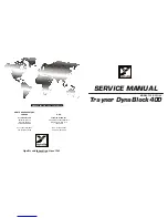 YORKVILLE Traynor DynaBlock400 Service Manual предпросмотр