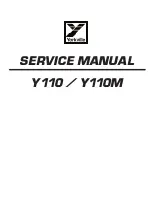 Предварительный просмотр 1 страницы YORKVILLE Y110 Service Manual