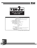 Предварительный просмотр 12 страницы YORKVILLE YSM3BT Owner'S Manual