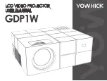 YOWHICK GDP1W User Manual предпросмотр