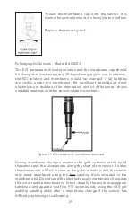 Preview for 35 page of YSI PRO20 User Manual