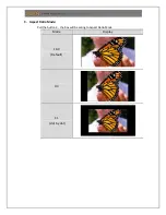 Preview for 10 page of Yuan SDI2HDMI-S User Manual