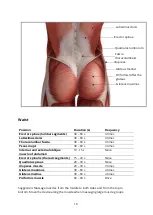 Preview for 16 page of Yunmai Fascial Gun Pro Basic User Manual