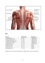 Preview for 72 page of Yunmai Fascial Gun Pro Basic User Manual