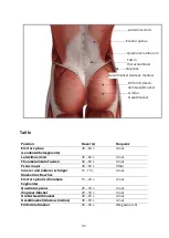 Preview for 92 page of Yunmai Fascial Gun Pro Basic User Manual