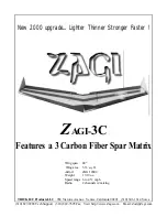 ZAGI ZAGI-3C Manual preview