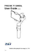 Preview for 1 page of Z&X PRECISE P1 User Manual