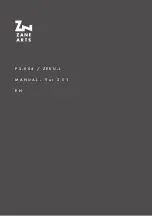 ZANE ARTS PS-004 Manual preview