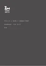 ZANE ARTS PS-111 Manual preview