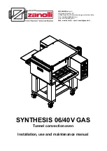 ZANOLLI SYNTHESIS 06/40V GAS Installation, Use And Maintenance Manual предпросмотр