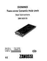 Zanussi DOMINO ZBX 623 SS User Instructions preview