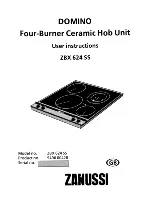 Zanussi Domino ZBX 624 SS User Instructions preview