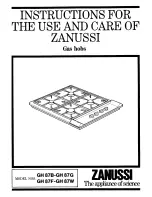 Zanussi GH 87B-GH 87G Instructions For The Use And Care preview