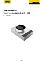 Zanussi LIBERO IWOKEC-1P/1ZT Service Manual preview
