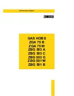 Zanussi ZBG 501 B Instruction Booklet preview